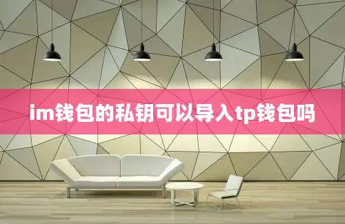 im钱包的私钥可以导入tp钱包吗