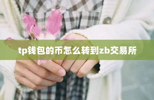 tp钱包的币怎么转到zb交易所