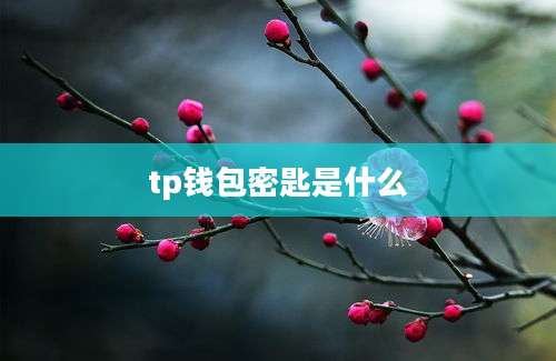 tp钱包密匙是什么