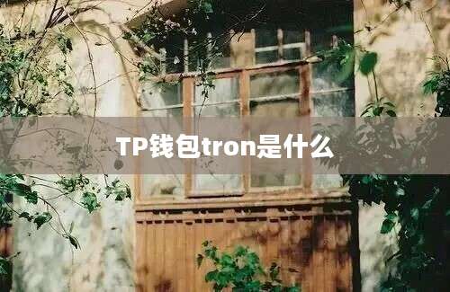 TP钱包tron是什么