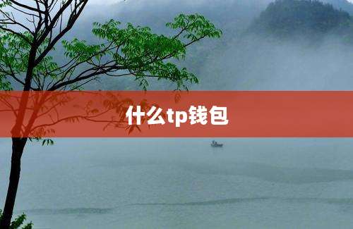 什么tp钱包