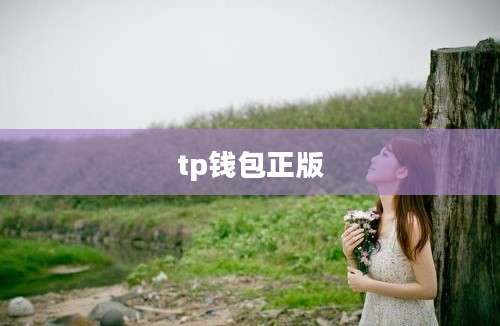 tp钱包正版