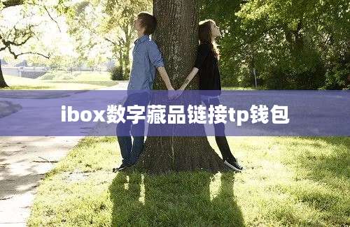 ibox数字藏品链接tp钱包