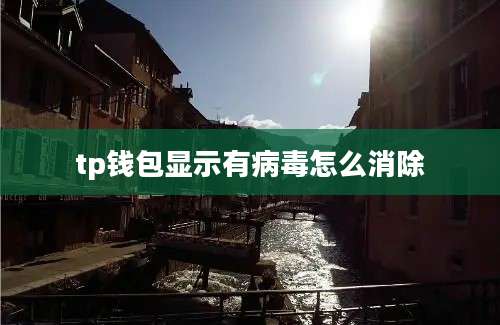 tp钱包显示有病毒怎么消除