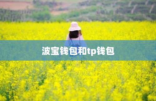 波宝钱包和tp钱包