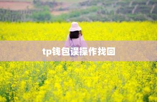 tp钱包误操作找回
