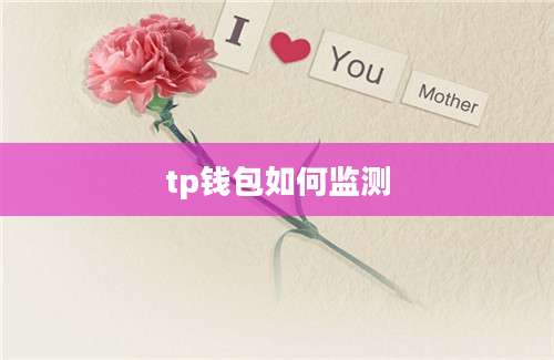 tp钱包如何监测