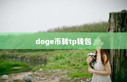 doge币转tp钱包
