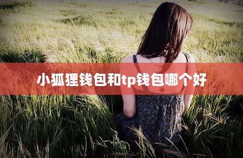 小狐狸钱包和tp钱包哪个好