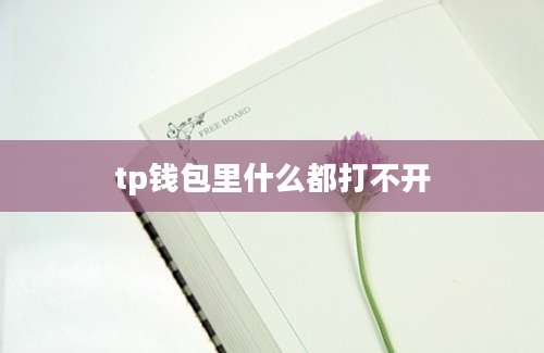 tp钱包里什么都打不开