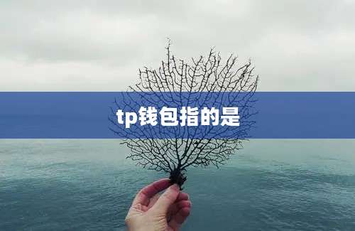 tp钱包指的是