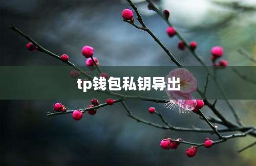 tp钱包私钥导出