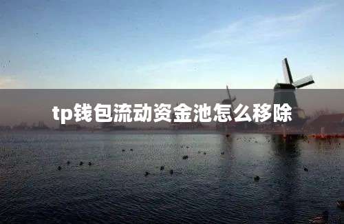 tp钱包流动资金池怎么移除