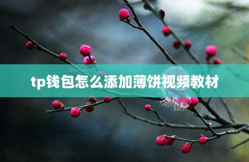 tp钱包怎么添加薄饼视频教材