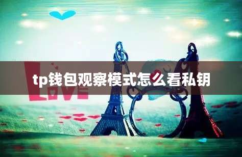 tp钱包观察模式怎么看私钥