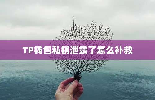 TP钱包私钥泄露了怎么补救
