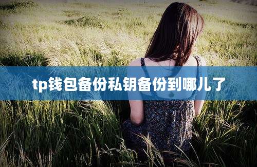 tp钱包备份私钥备份到哪儿了