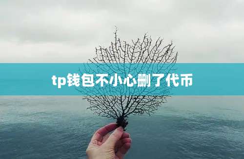 tp钱包不小心删了代币