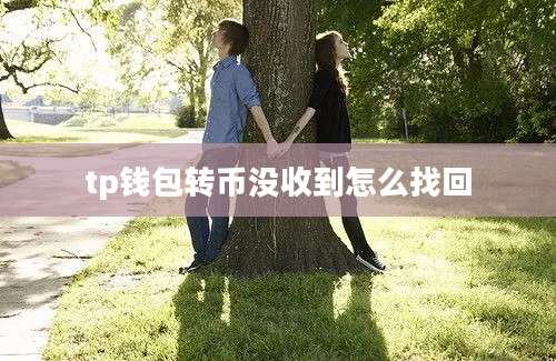 tp钱包转币没收到怎么找回