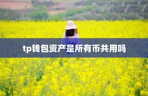 tp钱包资产是所有币共用吗