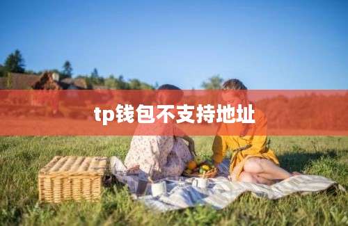 tp钱包不支持地址