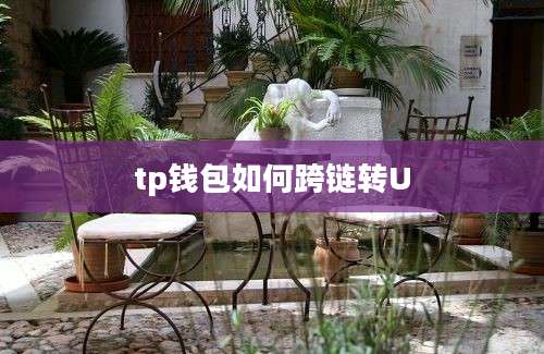 tp钱包如何跨链转U