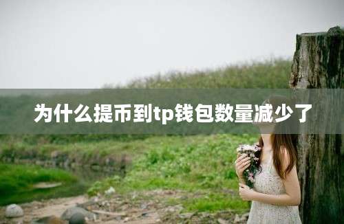 为什么提币到tp钱包数量减少了