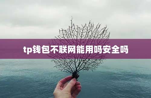 tp钱包不联网能用吗安全吗
