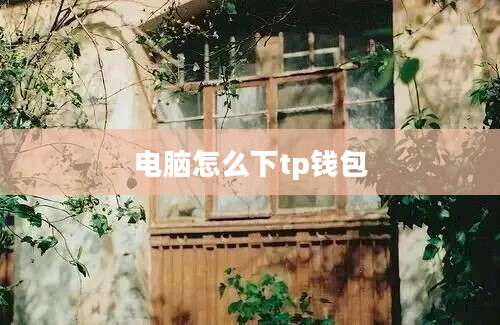 电脑怎么下tp钱包