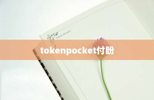 tokenpocket付盼