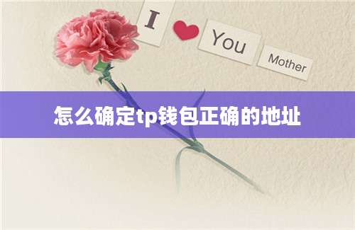 怎么确定tp钱包正确的地址