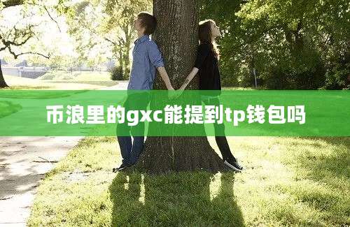 币浪里的gxc能提到tp钱包吗