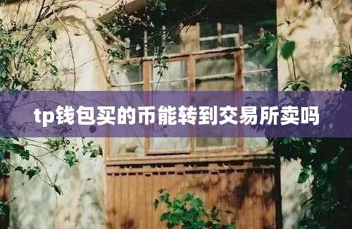 tp钱包买的币能转到交易所卖吗