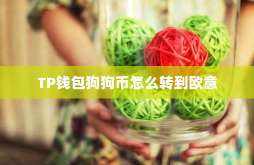 TP钱包狗狗币怎么转到欧意