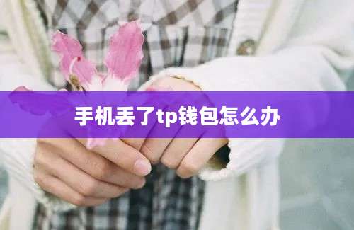 手机丢了tp钱包怎么办