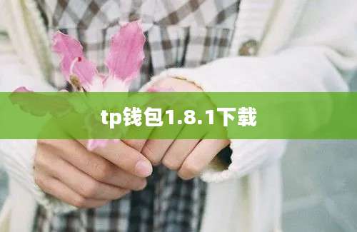 tp钱包1.8.1下载