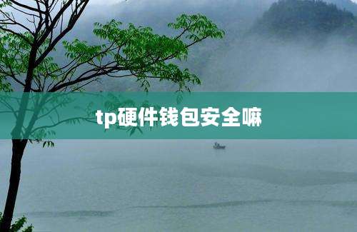 tp硬件钱包安全嘛