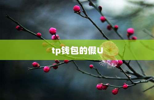 tp钱包的假U