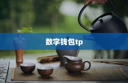 数字钱包tp