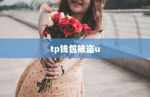tp钱包被盗u