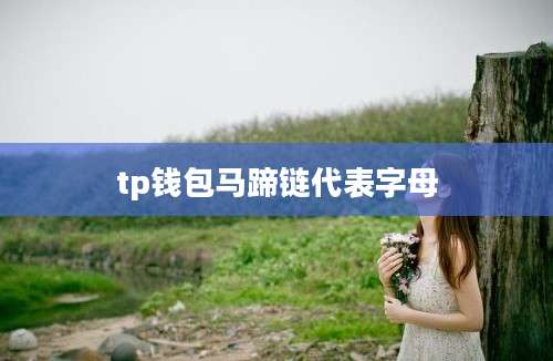 tp钱包马蹄链代表字母