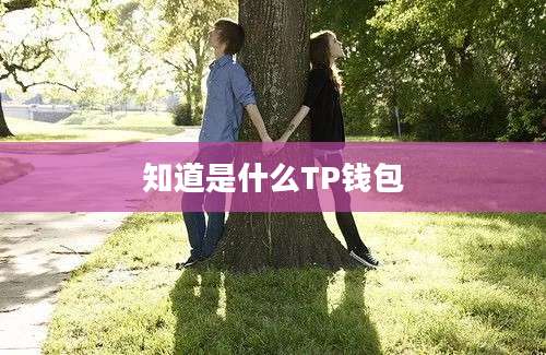 知道是什么TP钱包