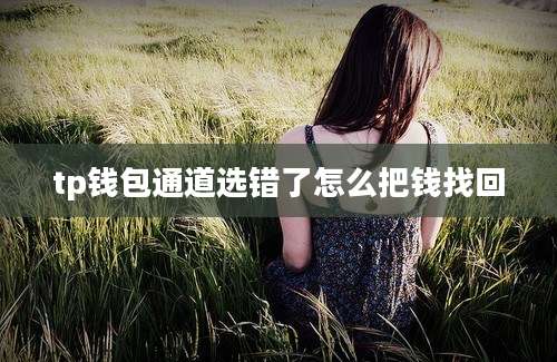 tp钱包通道选错了怎么把钱找回