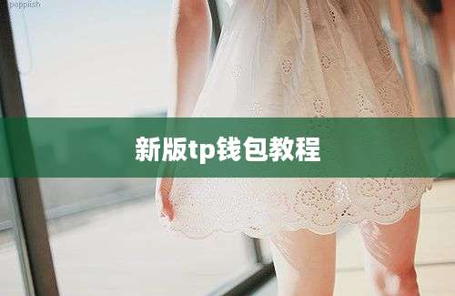 新版tp钱包教程