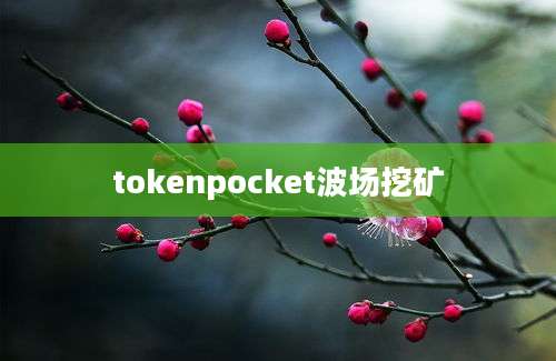 tokenpocket波场挖矿