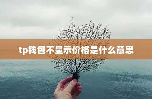 tp钱包不显示价格是什么意思