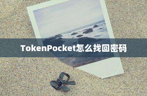 TokenPocket怎么找回密码