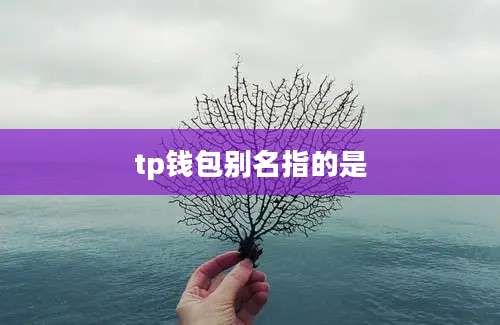 tp钱包别名指的是