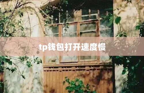 tp钱包打开速度慢