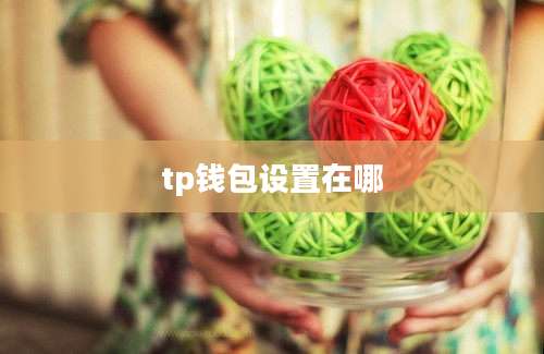 tp钱包设置在哪